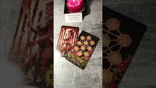 Что он хочет Вам сказать?