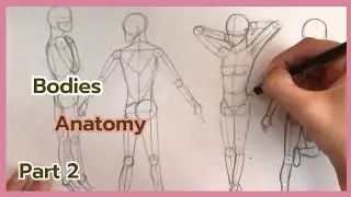 How to draw anatomy body ✍