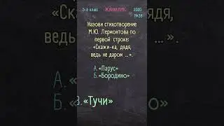 Русский язык 5-6 класс 2020 №28