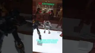seeing action figures in Algurare city centre