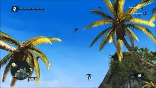 AC IV: Black Flag - Our planet needs us!