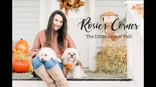 Fall Home Decor, Decorating your house for this Fall Season and ideas for Harvest!