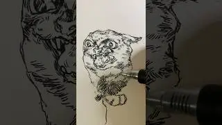 I made my first coloring book! 