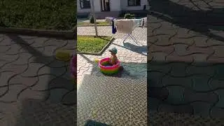 Иссык Куль