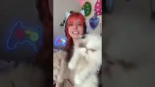 Chipi chipi chapa chapa | 🍊 Minynaranja 🍊