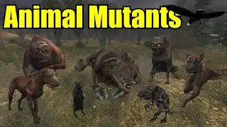 S.T.A.L.K.E.R.: ALL Monsters & Creatures Explained #1 - Animal Mutants