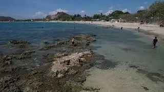 Island Life