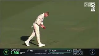 Ashes Centurion Travis Head Caught On Stump Mic #Ashes2021   #Cricket  #Gabba #Shorts