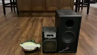 Mini recordable big mouth billy bass (speaker mod)