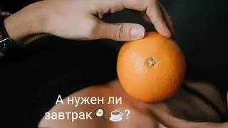 А нужен ли завтрак🍳☕?