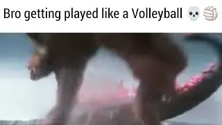Volleyball Skar king 🏐