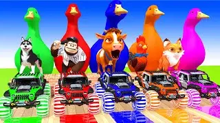 5 Giant Duck Cartoon, Paint & Animals Lion, Gorilla, Tiger, Bear, Cow Wild Animals Crossing Fountain