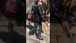 28 марта 2021 г.