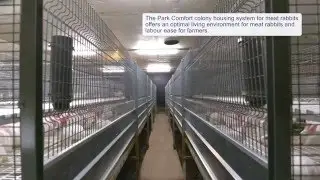Park Comfort colony housing system for meat rabbits