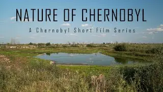 Nature Of Chernobyl | CHERNOBYL 2019