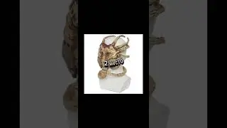 #мем #мемы #мемасик #shorts #short #2024 #viral #tiktok #funny #fyp #рекомендации #meme #memes #edit