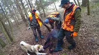 Охота 