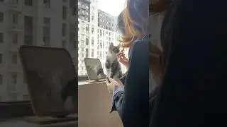 Когда тоже хочет быть красивым.#snaps