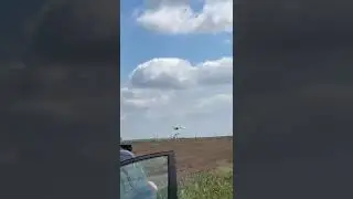 Landing of FAE REBEL TWIN MOTOR  drone
