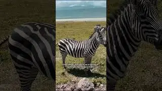 Top Places To Visit In Tanzania