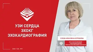 УЗИ сердца