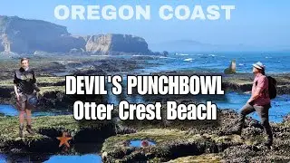 Oregon Coast: Devil's Punchbowl & Otter Crest Beach