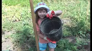 Вика помогает копать картошку