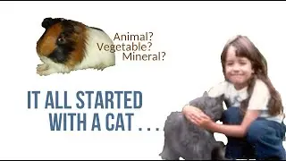 Why I Have Guinea Pigs & Their Name Theme