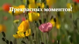 С днем рождения ☆☆☆