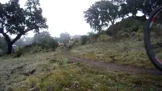 open btt plasencia