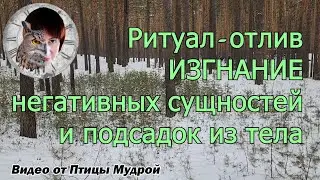 Как изгнать негативные сущности из тела. Как изгнать негативные подсадки из тела.