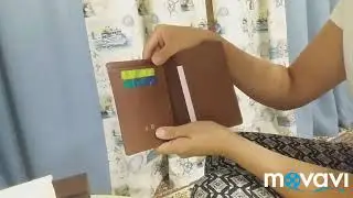 Louis Vuitton Passport Cover / Short Review