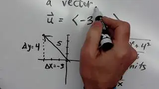 What’s The Vector Victor