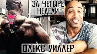 ФЛЕКС УИЛЛЕР РЕЛЬЕФНЫЙ ЗВЕРЬ в 52 ГОДА! - 4 НЕДЕЛИ ДО ОЛИМПИИ 2017 - БОДИБИЛДИНГ МОТИВАЦИЯ (Памп ТВ)