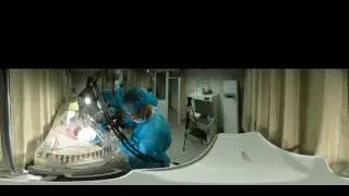 Panda cub drinks colostrum-360 degree video-Pandapia