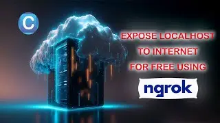 How to Host Your Website for Free Using ngrok from Your Local System