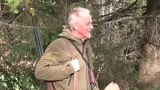 В осень с гончими. Эстонские гончие. Охота.