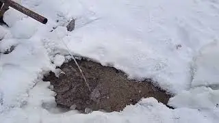 Родник в Кедровом парке.