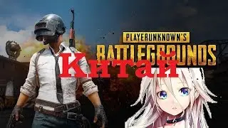 Копия PUBG