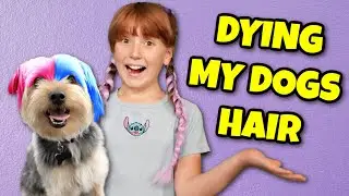 Dying My Dogs Hair (Vlog)