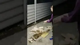 Дженга xxl большая