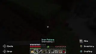 Minecraft Surivial LIVE (ROG ALLY)