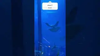 wow #shorts #short #youtube #subscribe #sub #youtuber #crazy #wow #omg #water #aquarium #shortsfeed