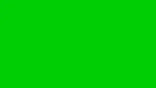 Hundred minutes of pure plain green screen background | 4K