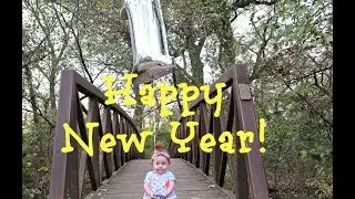 Baby's First Year Highlights