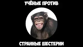Учёные против - Странные шестерни.