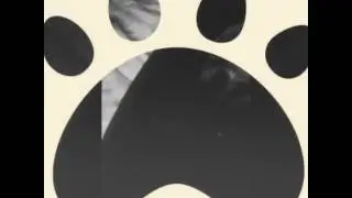 Мне купили хомяка страшно отпускать!😀😀😀😀😀😀
