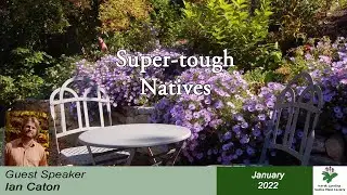 Super-tough Natives with Ian Caton