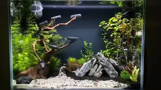 120 L akva 2 dienos po starto