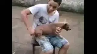 funny vedios whatsapp very funny